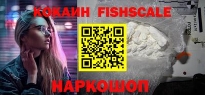 спайс Кингисепп
