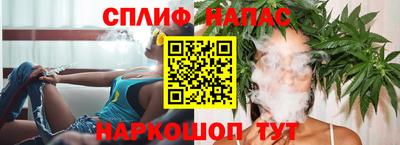 спайс Кингисепп