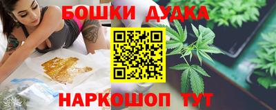 спайс Кингисепп