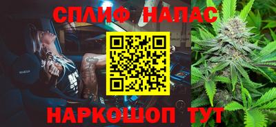 спайс Кингисепп