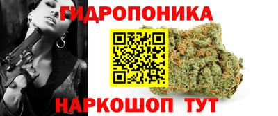 спайс Кингисепп
