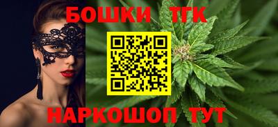 спайс Кингисепп