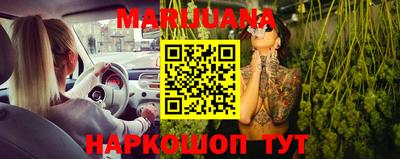 спайс Кингисепп