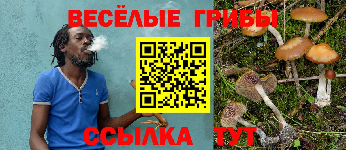 Галлюциногенные грибы мицелий Городец
