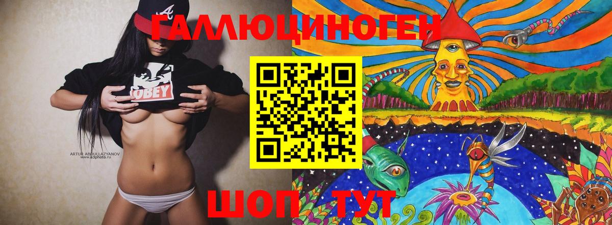 Городец  Галлюциногенные грибы Cubensis  Вход с VPN 